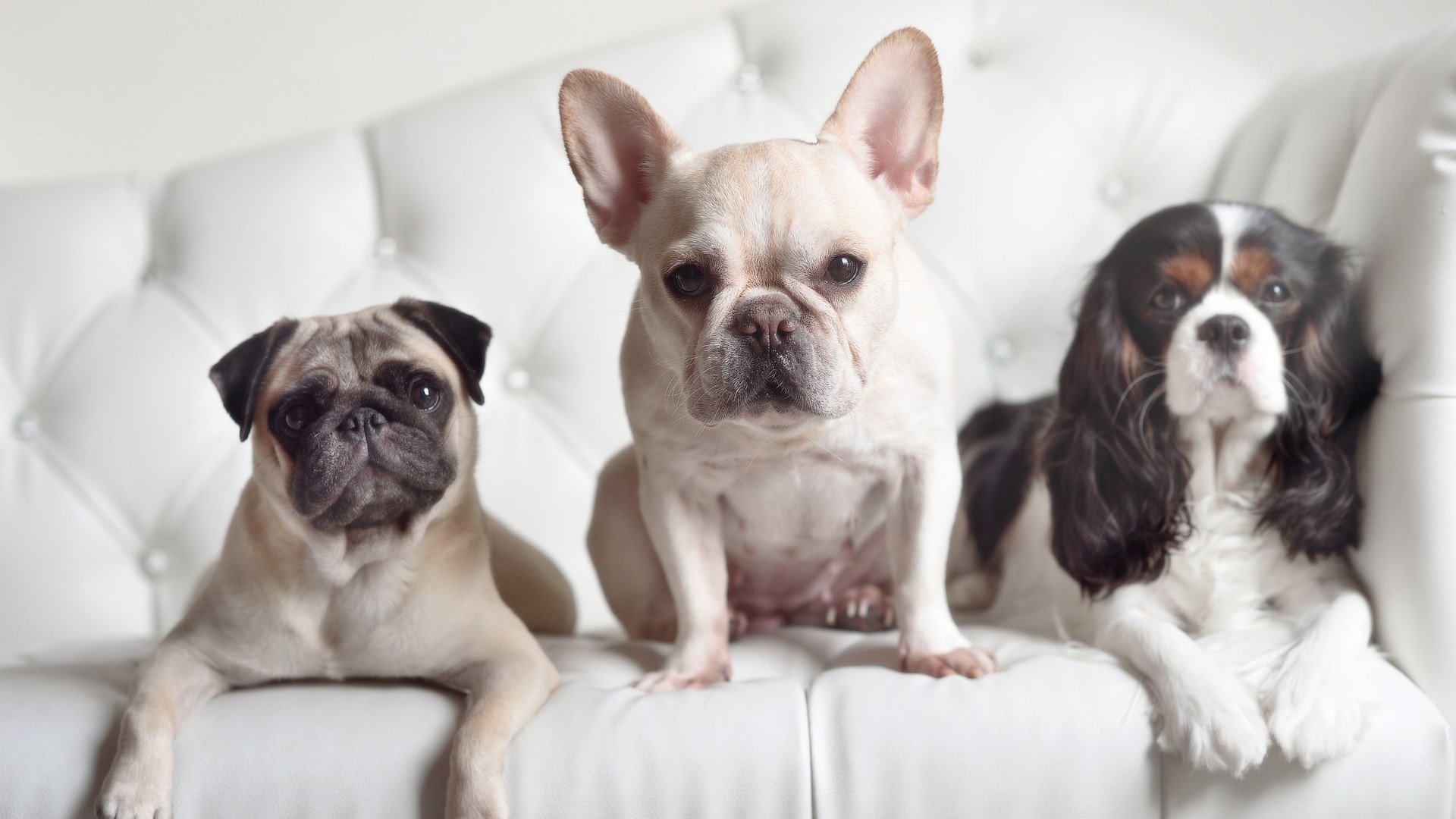 FB体育登录入口-_创新篮球训练基地:未来篮球巨星的摇篮_,创星篮球训练营