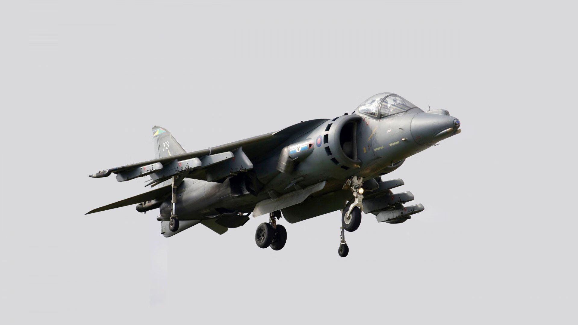 FB体育官网平台-_猛龙展现坚韧,逆转战局成功_,猛龙岀击