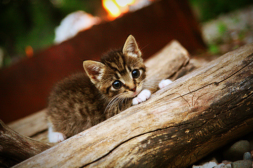 FB体育平台-“弯道飞旋：漂移舞者的极致展演”，弯道漂移什么意思