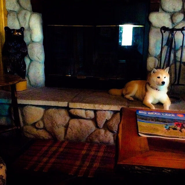 fb体育全站-“法甲豪门逐鹿中原,胜负瞬息万变”,法甲豪门球队排名