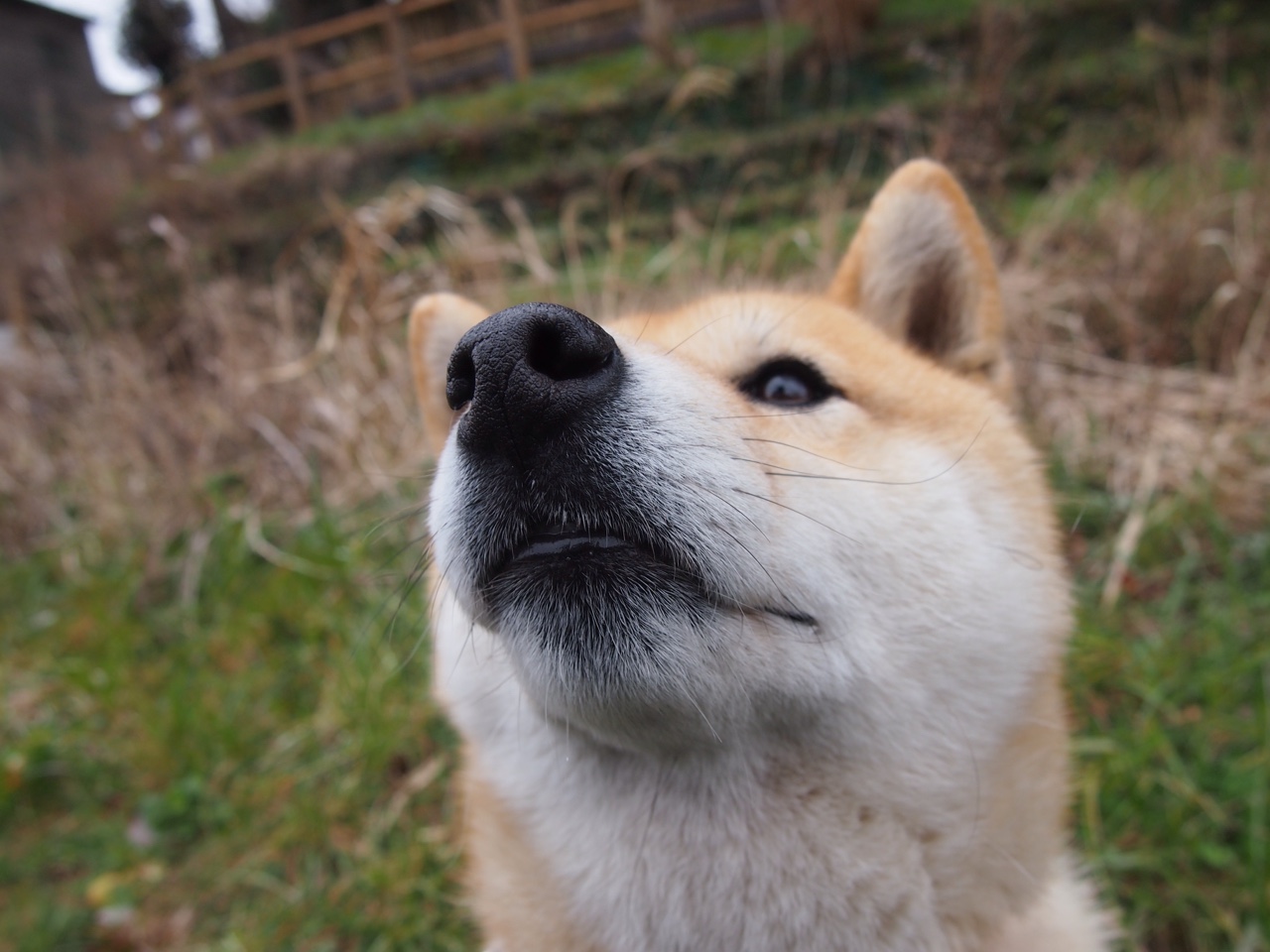 fb体育app官网-伊朗马术队在巴黎奥运会三项赛中获得第六名，表现稳健。，伊朗转播奥运会打马赛克