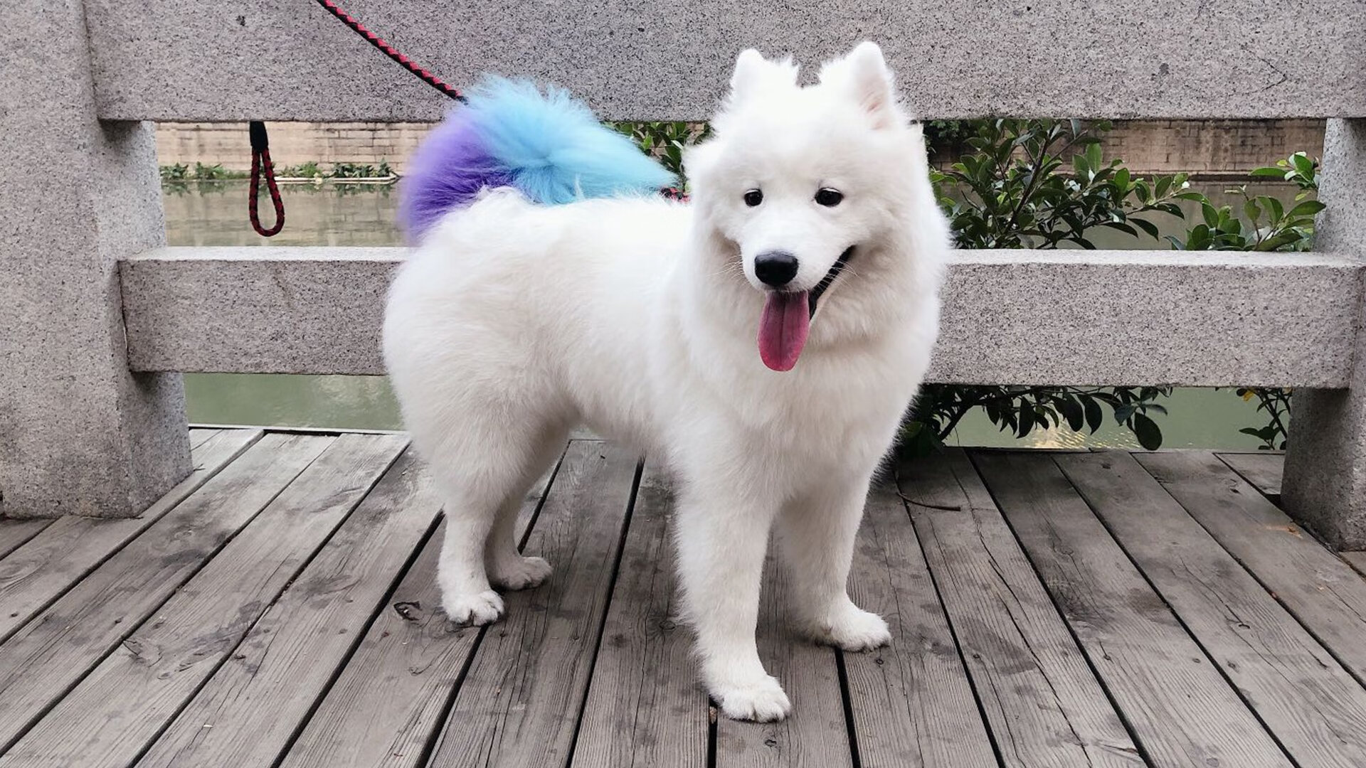 FBSPORTS-伊朗男足在巴黎奥运会比赛中以2-0战胜新西兰，伊朗男足世预赛