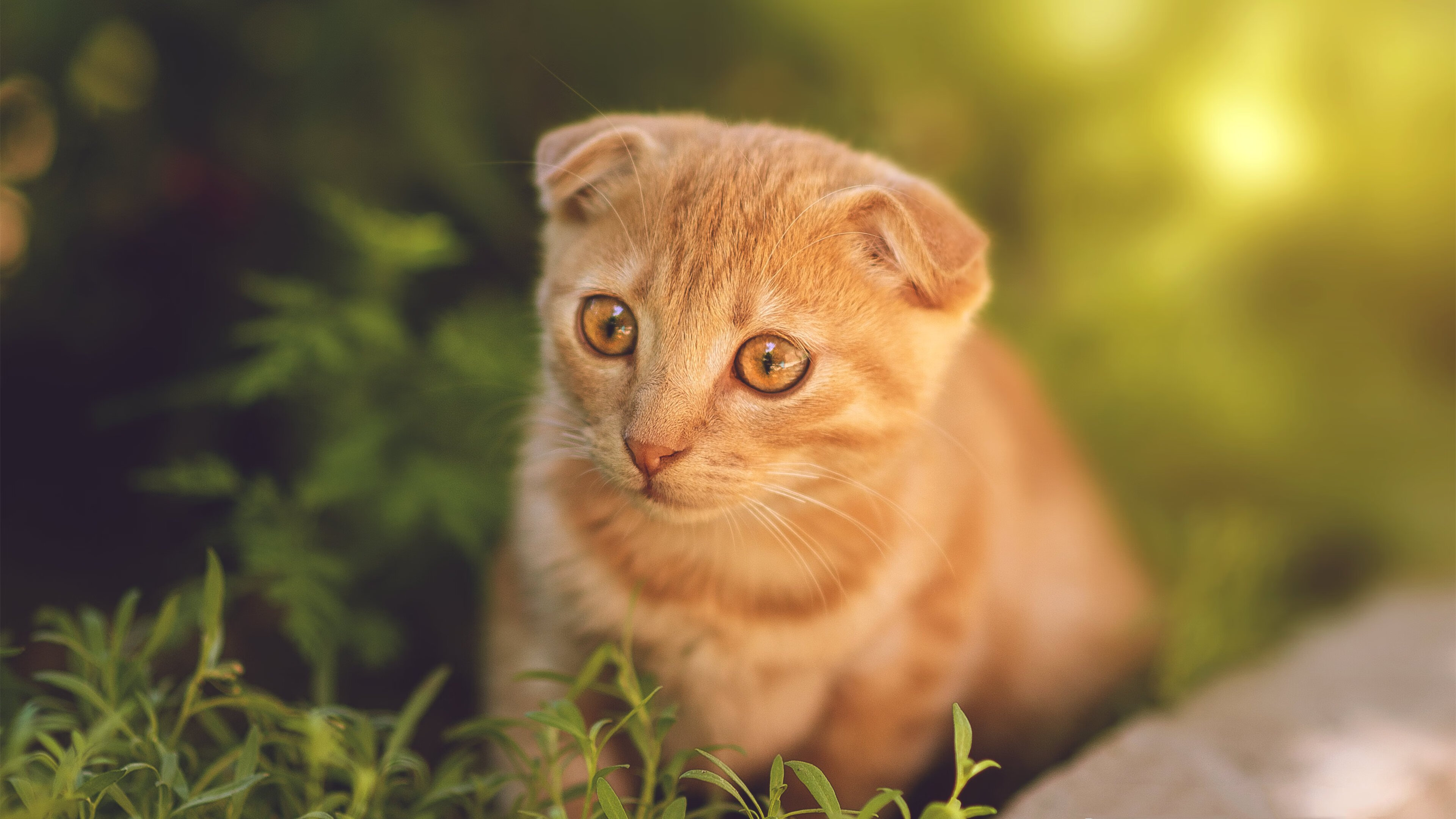 fb体育app官网-全国青少年“绿色篮球节”在北京盛大举行，倡导环保健康新生活