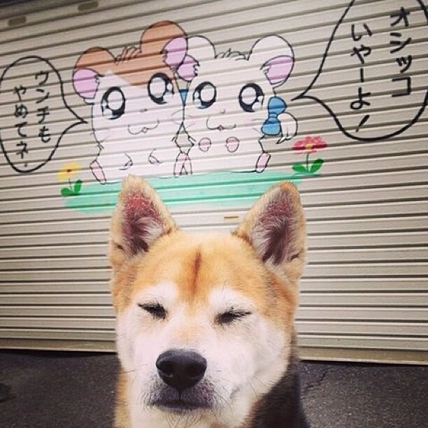 FB体育-全国青少年篮球锦标赛精彩纷呈，激发运动热情，2021年全国青少年篮球锦标赛