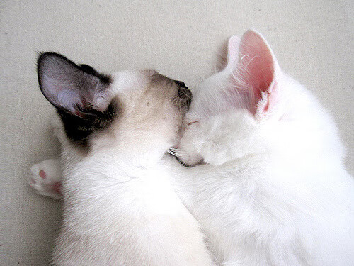 fb体育中国-未来五年青少年篮球人才培养规划逐步落实,发展潜力巨大,青少年篮球培训现状