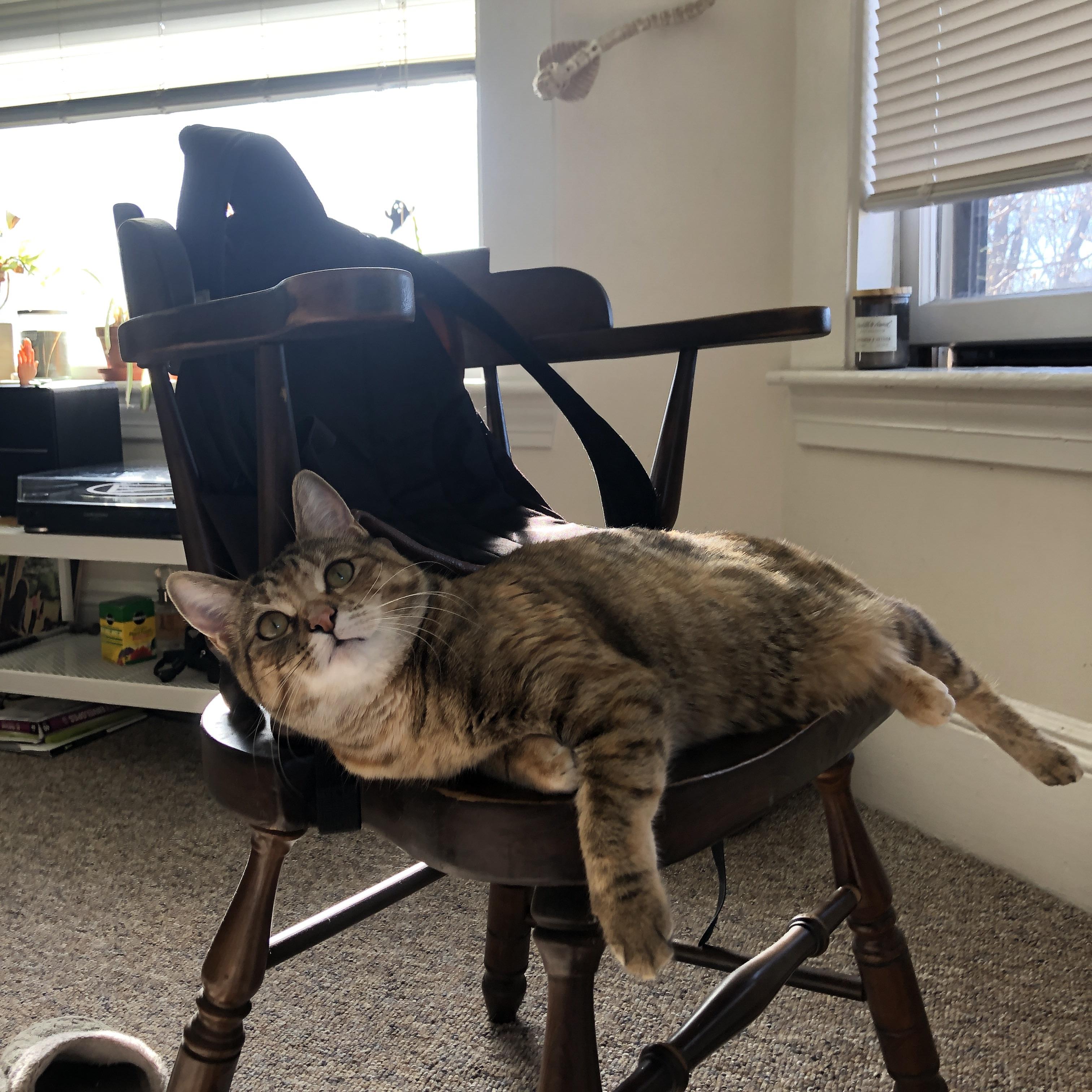 FB体育注册网址-社会媒体热议:台球精彩瞬间集锦,台球片段