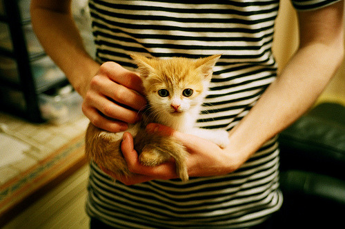 FBSPORTS-运动会开幕式，精彩纷呈引爆全场，运动会开幕式全过程