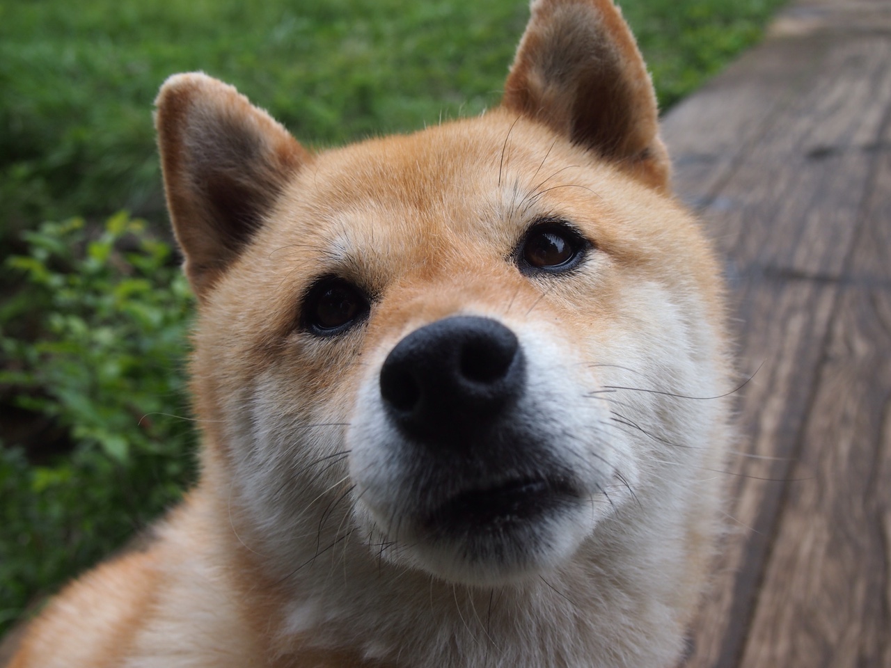 fb体育全站-中国篮球运动员心理辅导，篮球运动员心理素质