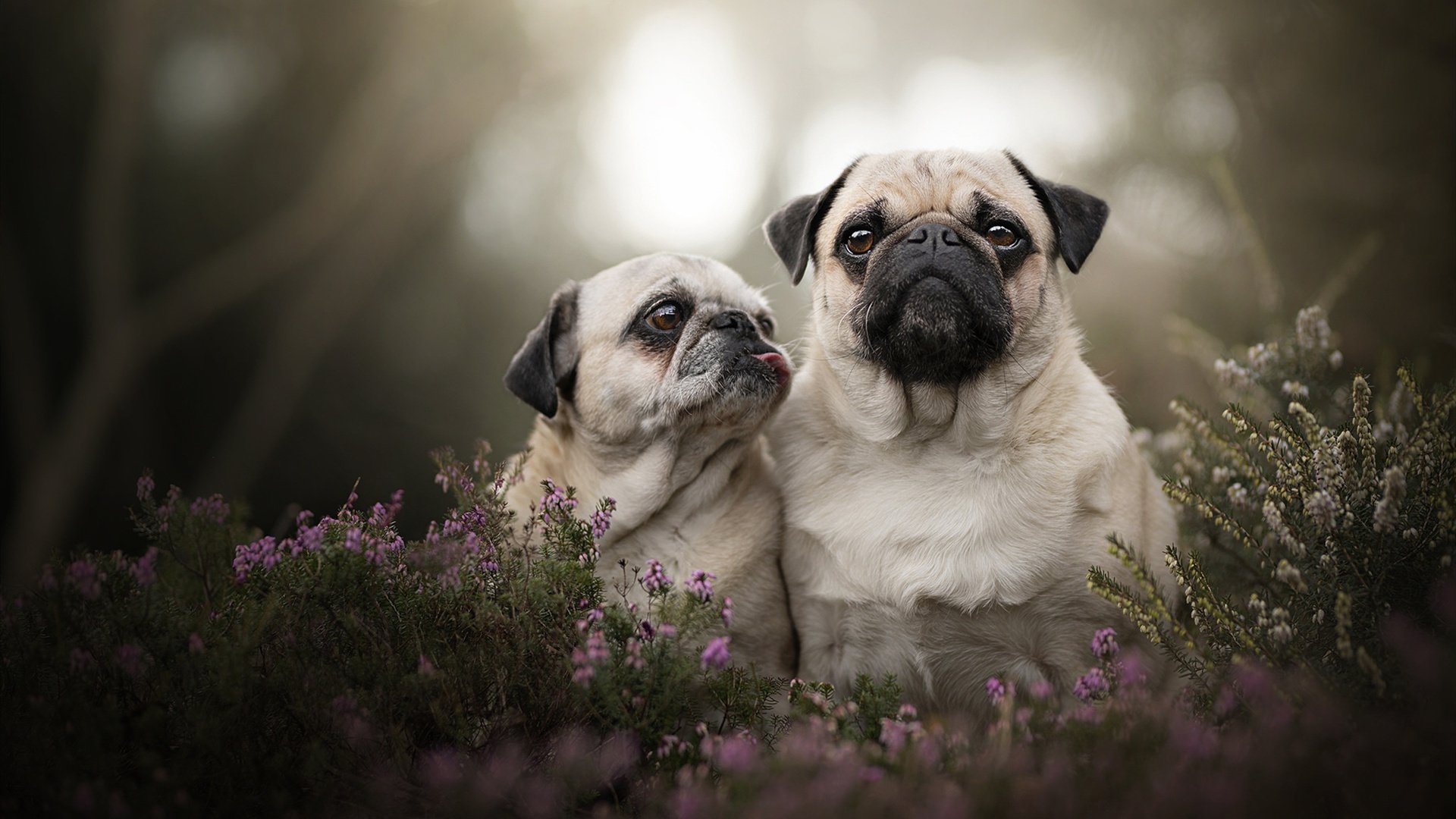 FB体育登录入口-全球电竞粉丝聚会活动预告，2021全球电竞峰会在哪里开