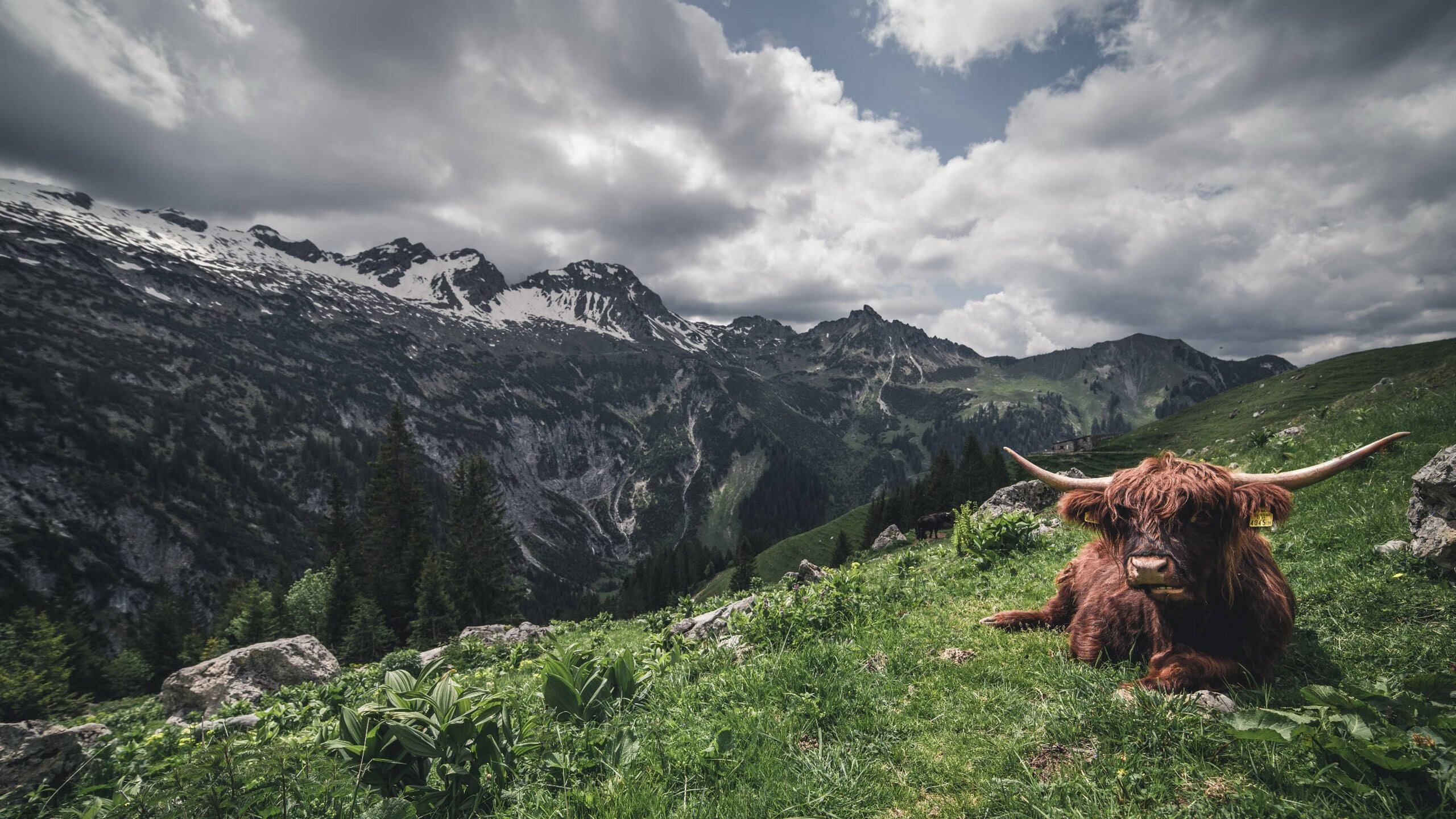 FBSPORTS-意大利女子排球队在半决赛中击败巴西队，意大利女排巴西女排