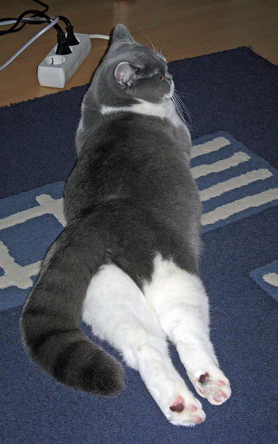 FB体育注册网址-摩洛哥队备战国际比赛,磨合阵容,摩洛哥国家队最新大名单