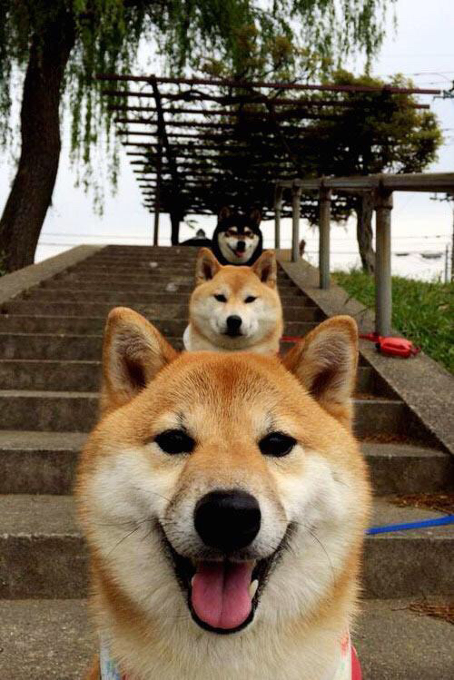 FB体育注册网址-本土前锋是否正在逐渐失去核心地位，前锋现在怎么样了