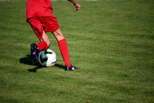 FB体育官方网站-意甲青训项目加入比赛情绪识别系统提升抗压反应,意甲本队青训