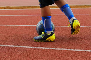 FB体育娱乐-篮球运动员心理韧性培养及心理健康干预机制研究,篮球运动员的心理素质训练应把重点放在