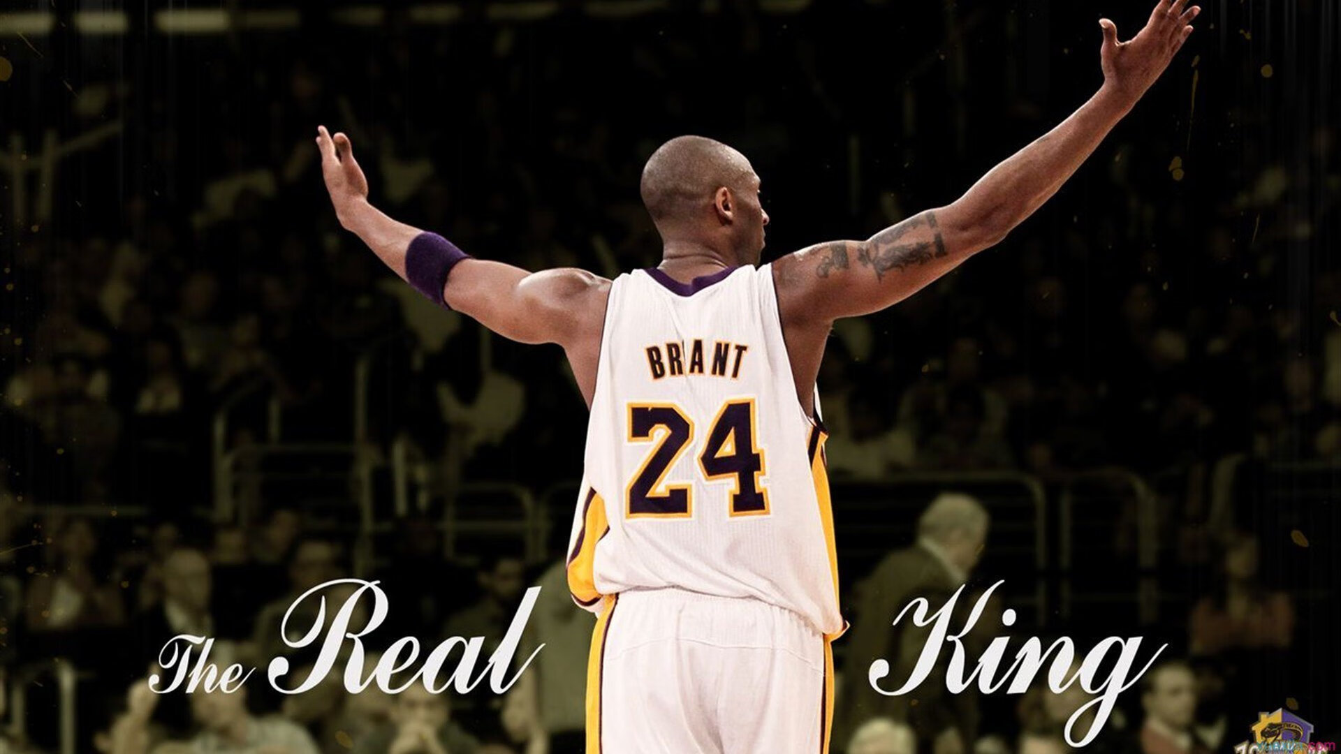 _湖人队士气正旺,冲刺季后赛目标_,湖人队季前赛时间表